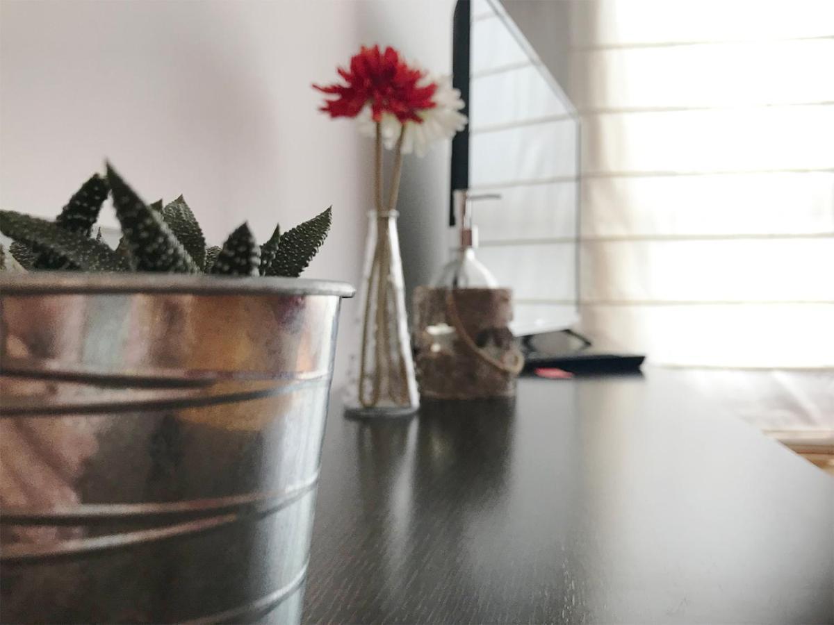 Apartamentos Arha ポテス エクステリア 写真