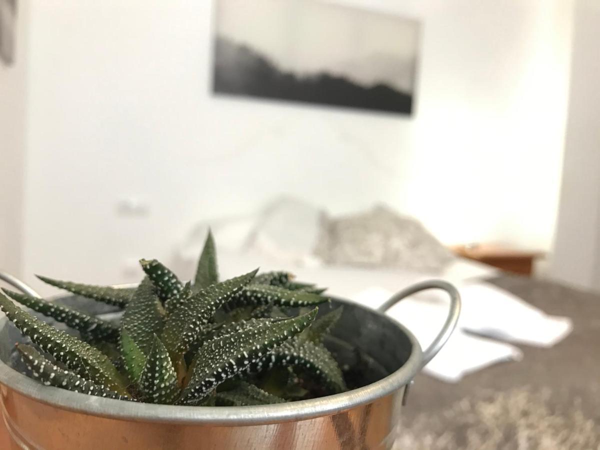 Apartamentos Arha ポテス エクステリア 写真